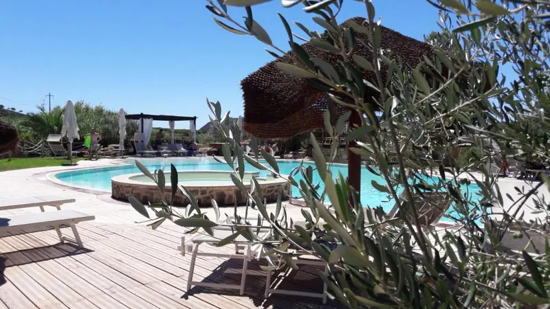 Terrasse en bois avec chaises longues donnant sur une piscine et un espace ombragé.