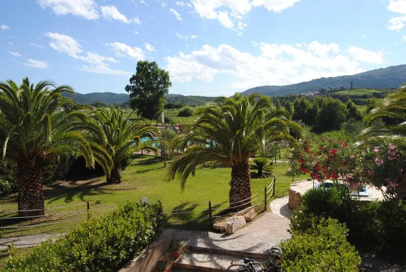 Vue d'ensemble d'un jardin verdoyant avec des palmiers et une piscine.