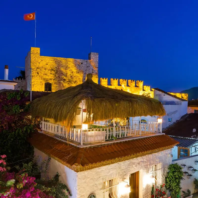 Bâtiment blanc illuminé avec toit de chaume et balcon fleuri sous un ciel nocturne.