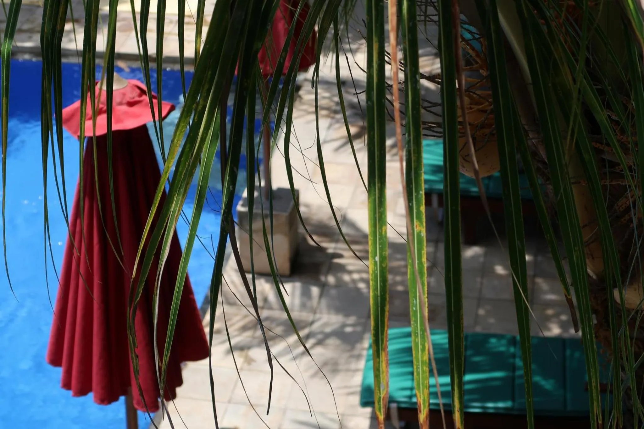 Transats rouges et verts au bord d'une piscine ensoleillée.