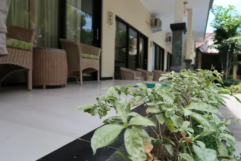 Terrasse avec mobilier en rotin et végétation luxuriante.