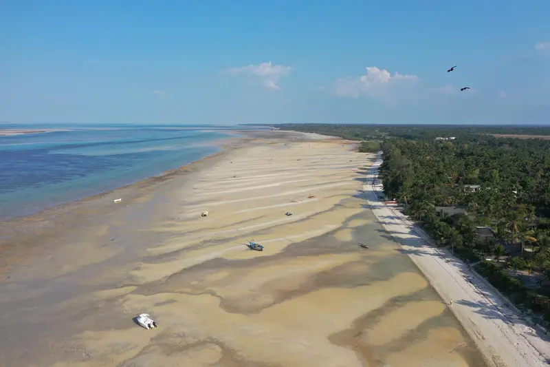 Vue aérienne d'une plage de sable clair bordée d'une eau turquoise et d'une végétation luxuriante.