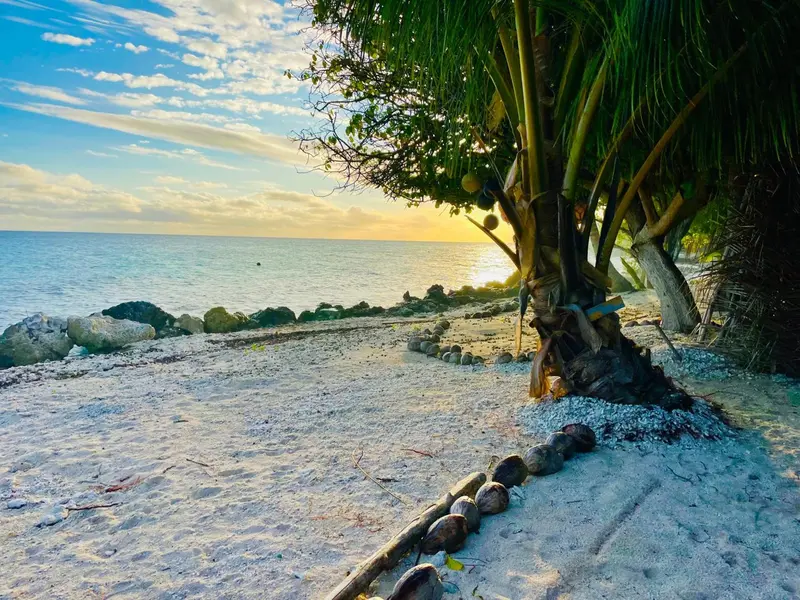 Plage de sable blanc bordée de cocotiers au coucher du soleil.