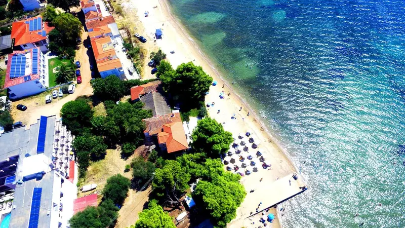Vue aérienne d'une plage bordée de bâtiments et de végétation luxuriante.