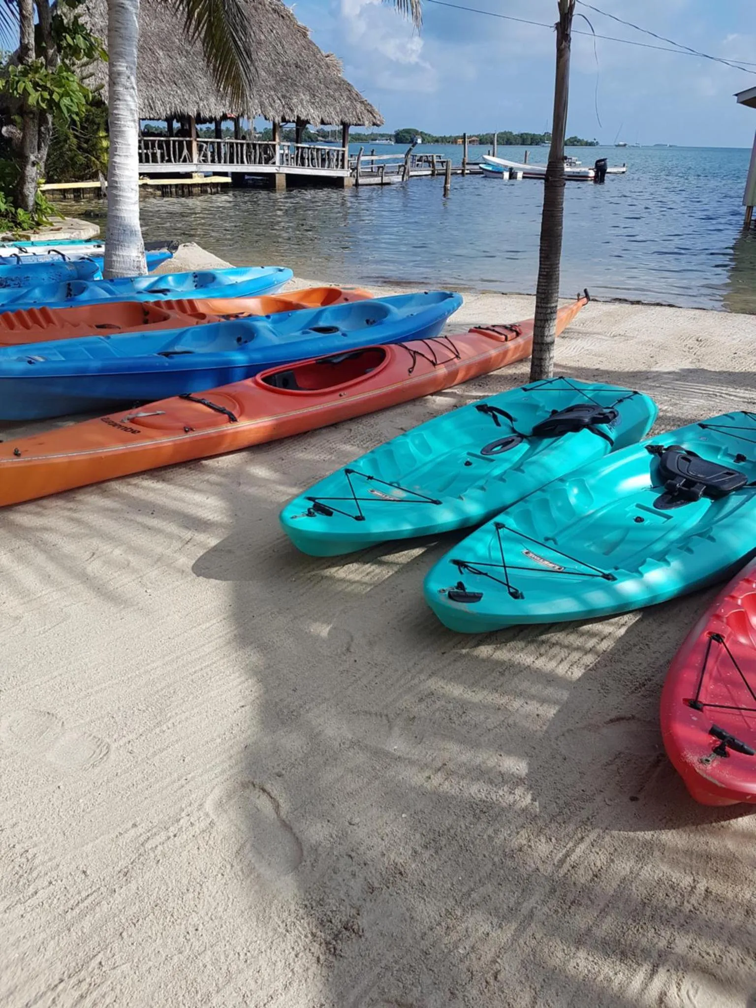 Plusieurs kayaks colorés reposent sur une plage de sable blanc bordée de palmiers.