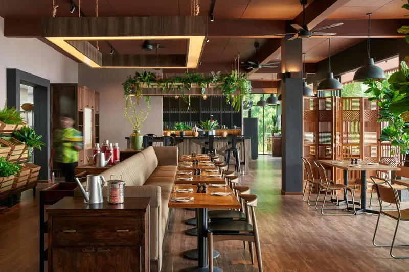 Une salle de restaurant lumineuse avec des tables en bois et des plantes suspendues.
