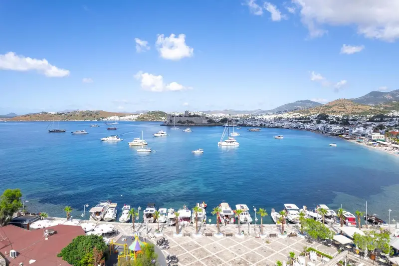 Vue aérienne d'une baie avec des bateaux et une plage ensoleillée.