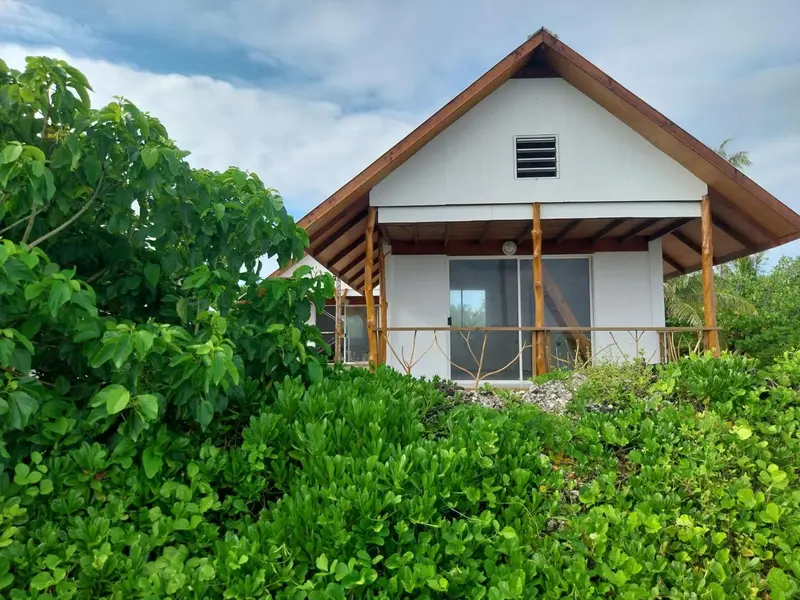 Une maison blanche avec un toit brun et une terrasse couverte par la végétation.