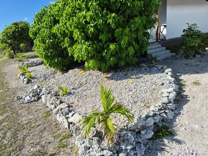 Jardin soigné avec des plantes et des roches au premier plan, devant un bâtiment.