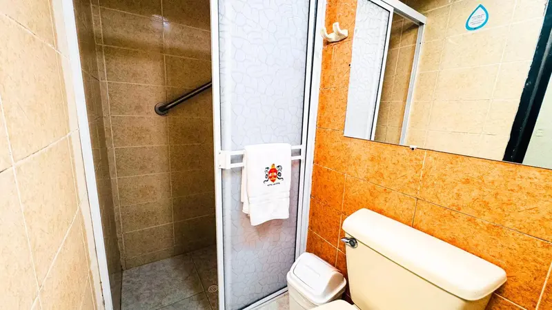 Une douche à l'italienne dans une salle de bain carrelée.