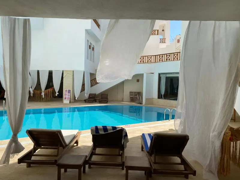 Transats et parasols bordent une piscine dans un espace extérieur lumineux.