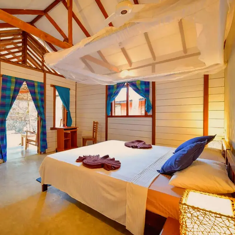 Une chambre lumineuse avec un lit à moustiquaire et une décoration tropicale.