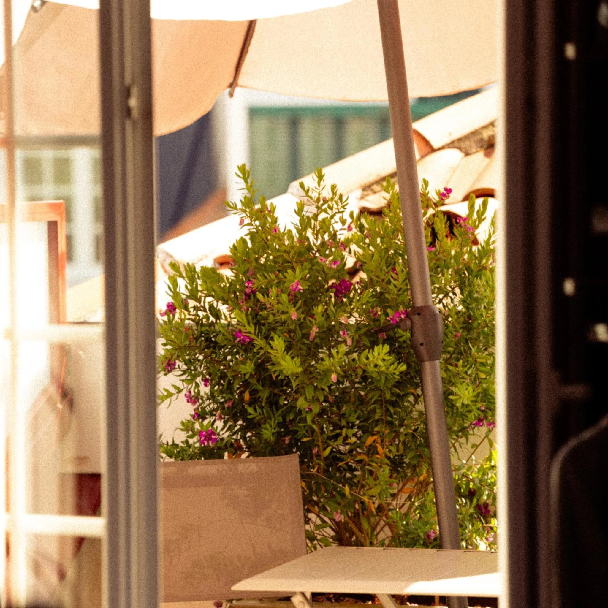 Une terrasse ombragée avec des parasols et de la végétation.