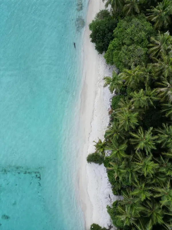 Vue aérienne d'une plage de sable blanc bordée de végétation luxuriante et d'eau turquoise.