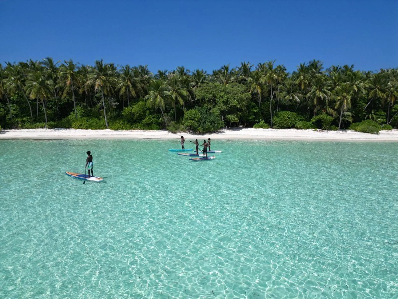 Vue aérienne d'une plage de sable blanc bordée de palmiers et de personnes pratiquant le paddle.