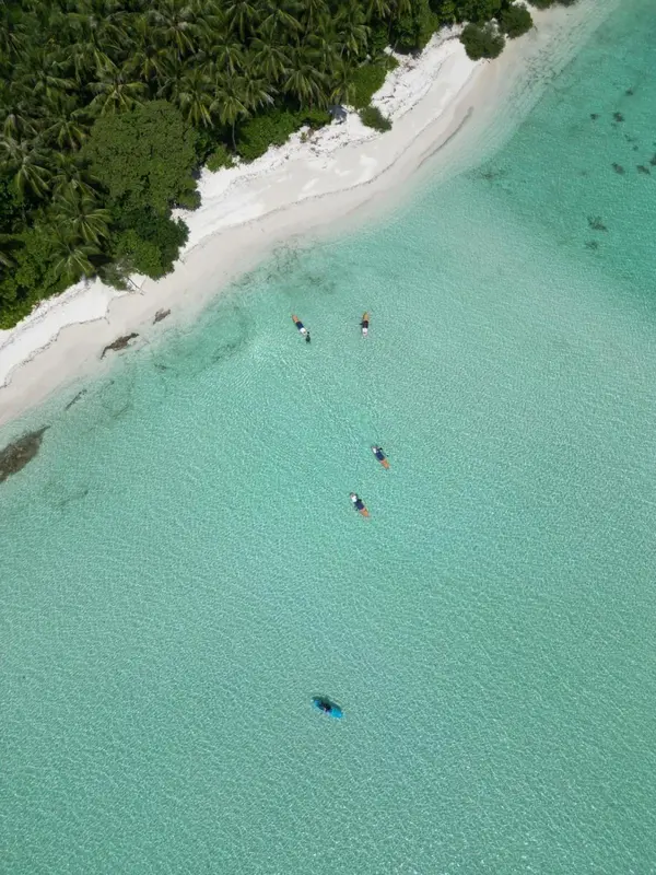 Vue aérienne d'une plage de sable blanc bordée d'une eau turquoise et de végétation luxuriante.