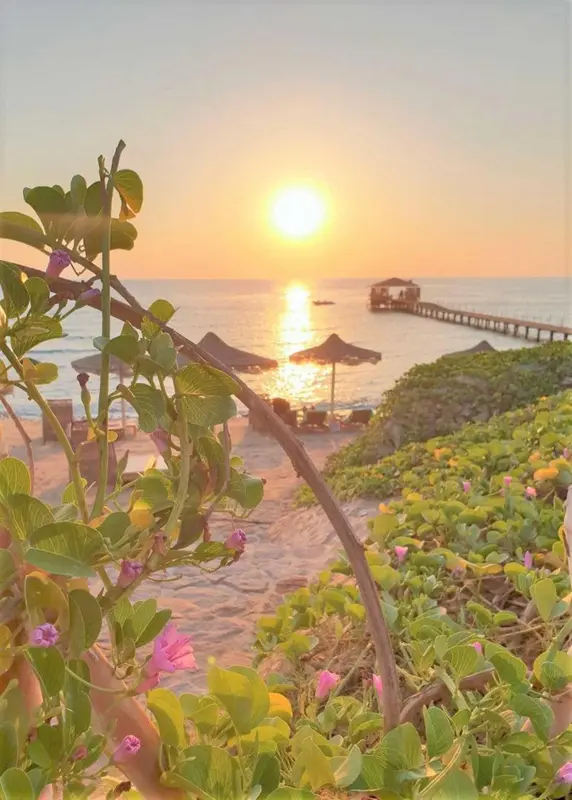 Coucher de soleil sur une plage avec parasols et ponton.