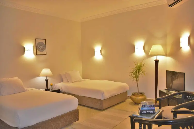 Chambre lumineuse avec deux lits simples et une plante verte.