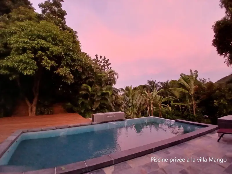 Une piscine rectangulaire bordée d'une terrasse en bois, entourée de végétation luxuriante sous un ciel rosé.