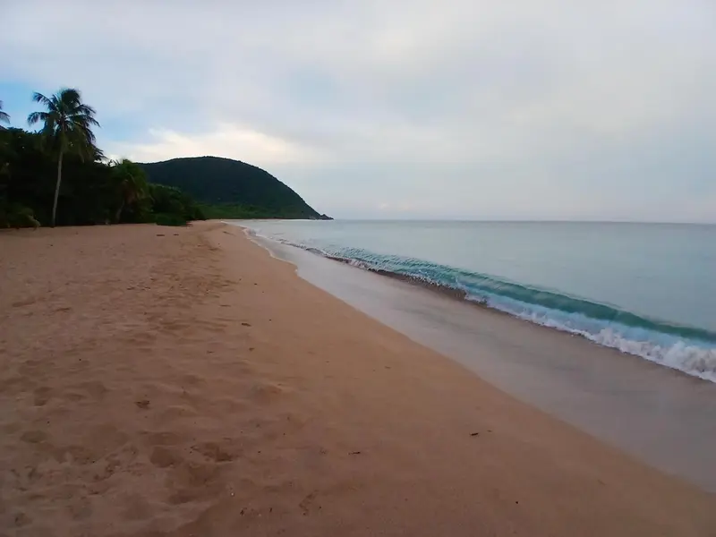 Plage de sable fin bordée d'une mer turquoise sous un ciel nuageux.