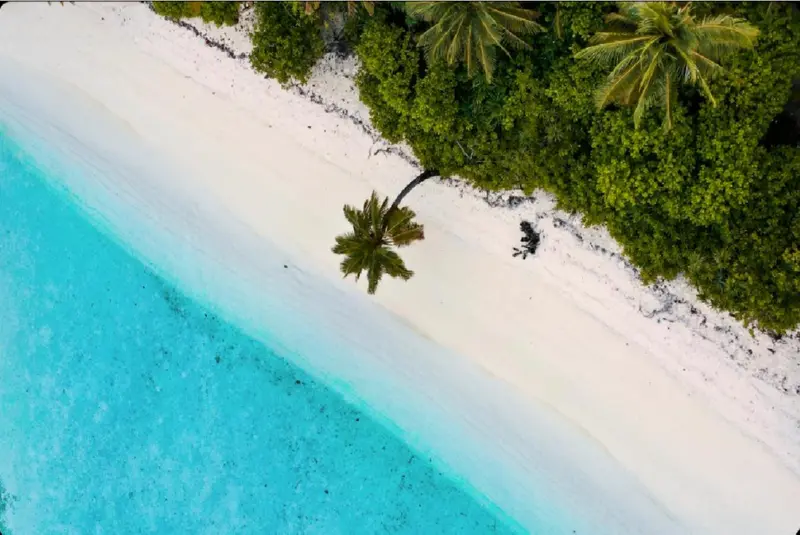Vue aérienne d'une plage de sable blanc bordée d'eau turquoise et de végétation luxuriante.