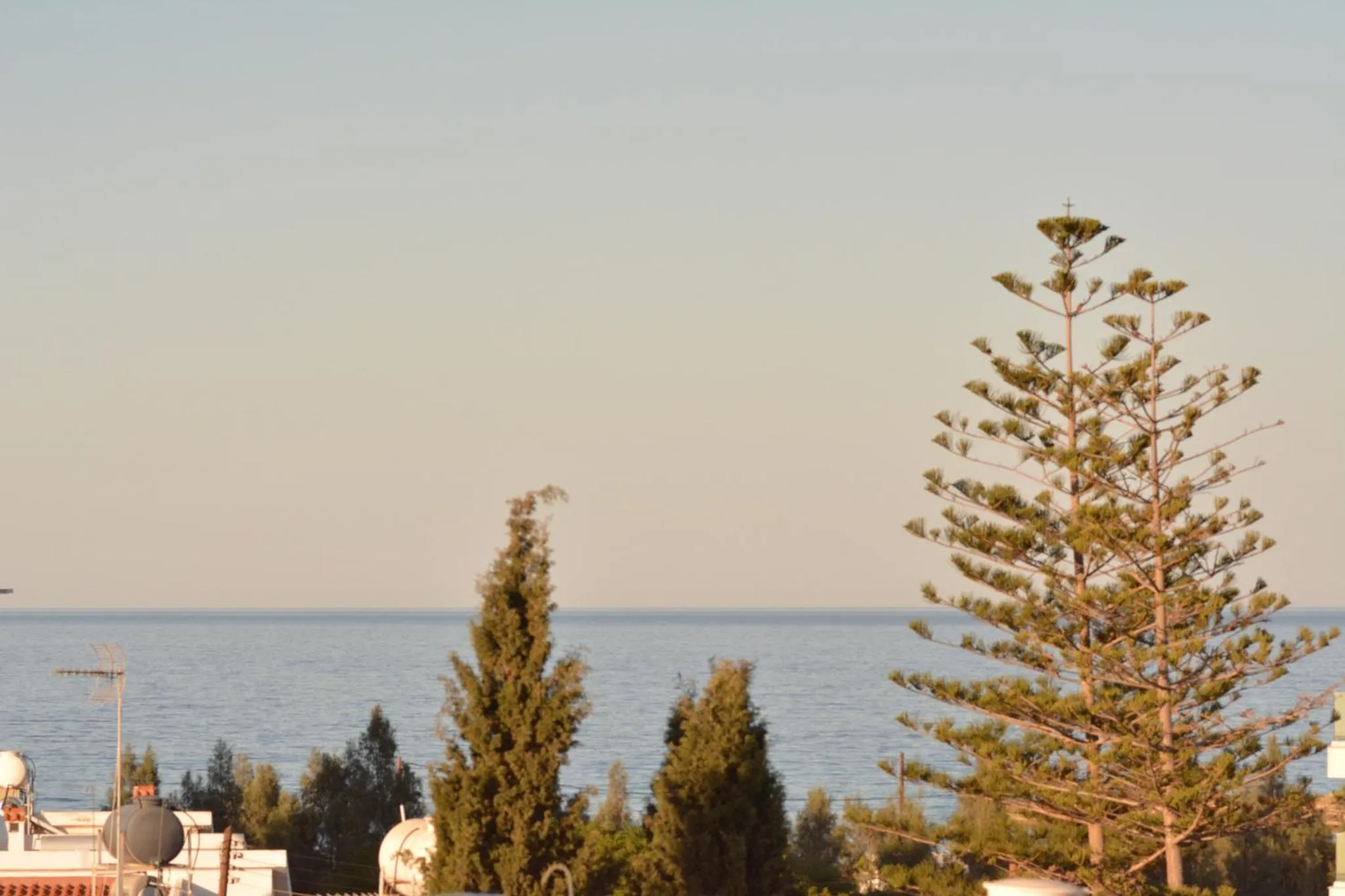 Vue sur la mer depuis un espace végétalisé.