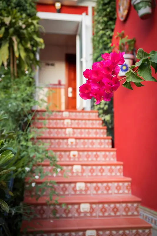 Escalier en pierre orné de motifs colorés mène à une entrée ombragée.