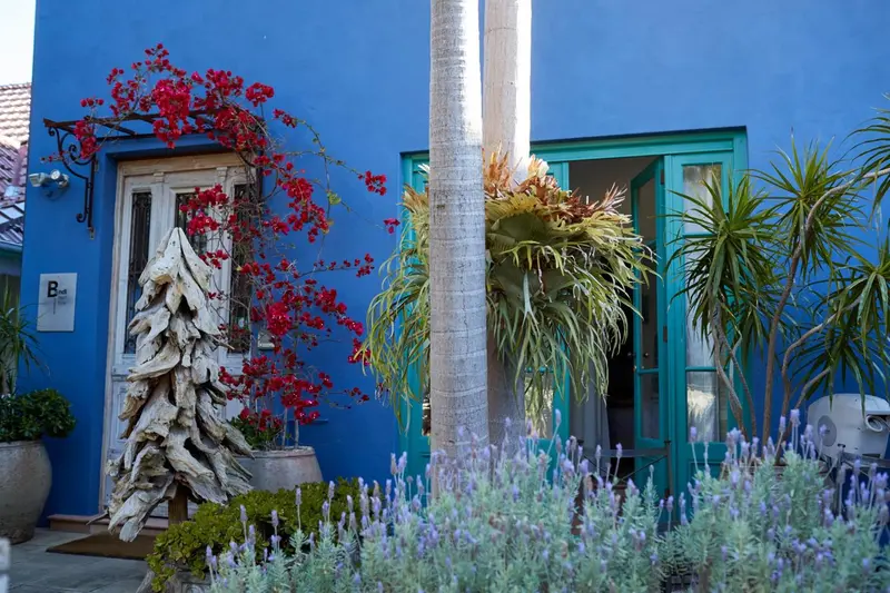 Facade bleue ornée de plantes et de fleurs devant une entrée turquoise.