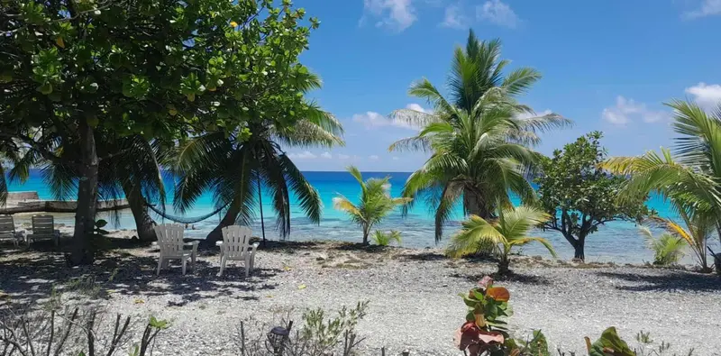 Plage de galets bordée de végétation tropicale et vue sur une mer turquoise.