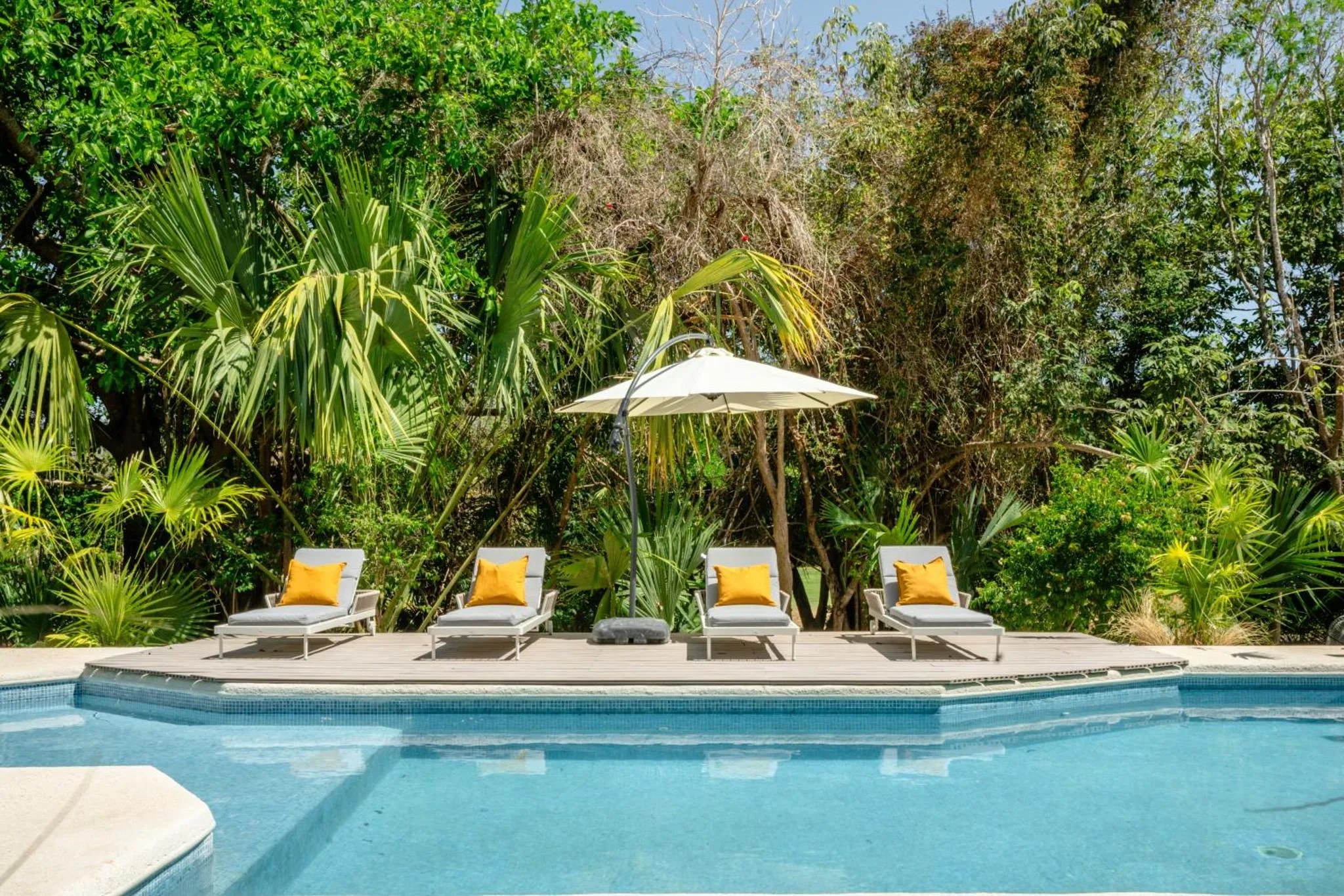 Transats colorés disposés au bord d'une piscine entourée de végétation tropicale.