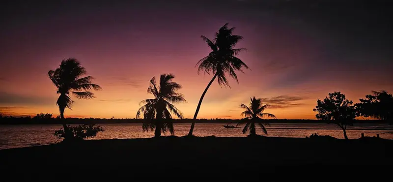 Coucher de soleil sur une plage tropicale avec des palmiers en silhouette.