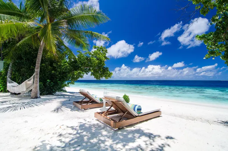 Deux transats sur une plage de sable blanc bordée de palmiers sous un ciel bleu.
