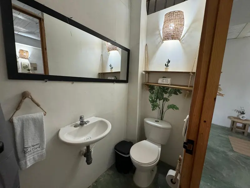 Une salle de bain lumineuse avec un lavabo, des toilettes et une plante verte.