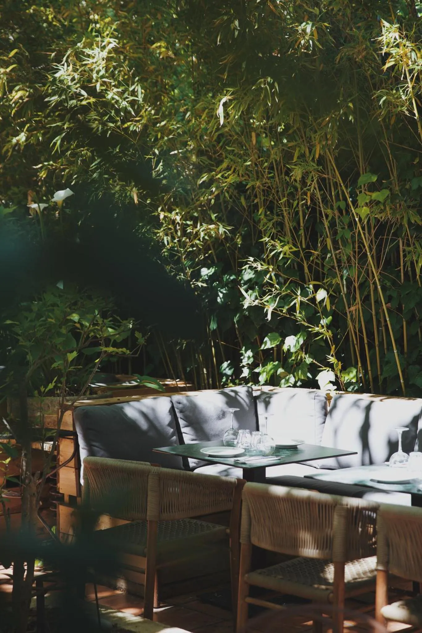 Une table est dressée sur une terrasse ombragée par une végétation dense.