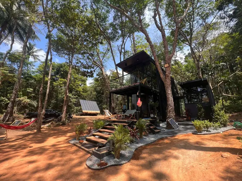 Une structure moderne en bois sombre se fond dans une végétation tropicale luxuriante.