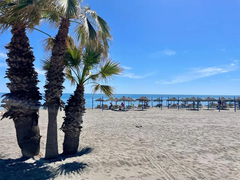 Plage de sable fin bordée de palmiers et de parasols sous un ciel bleu.