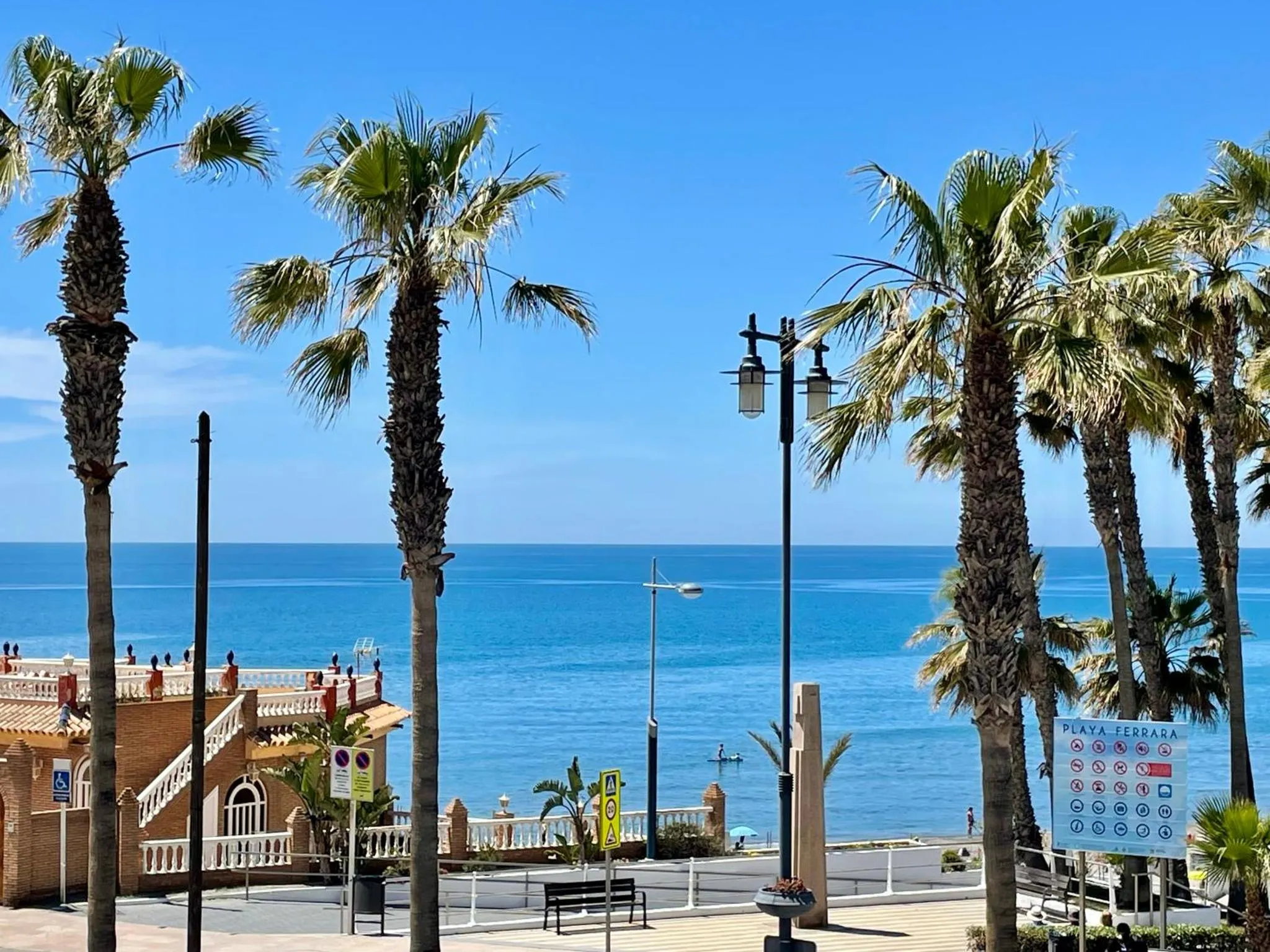Palmiers bordant une promenade en bord de mer sous un ciel bleu.