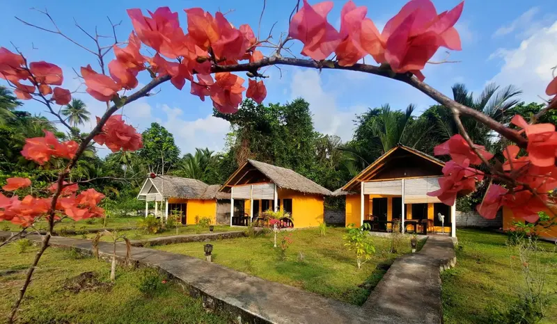 Trois bungalows colorés s'alignent sur une pelouse verdoyante, encadrés par une végétation luxuriante.