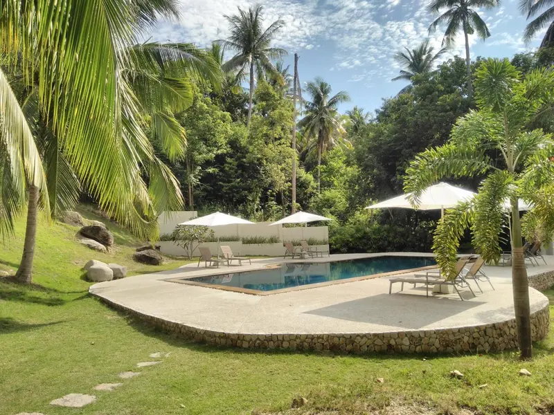 Une piscine rectangulaire bordée d'une terrasse ensoleillée et de végétation luxuriante.