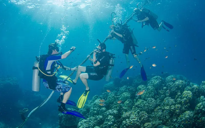 Des plongeurs explorent un récif corallien en eau turquoise.