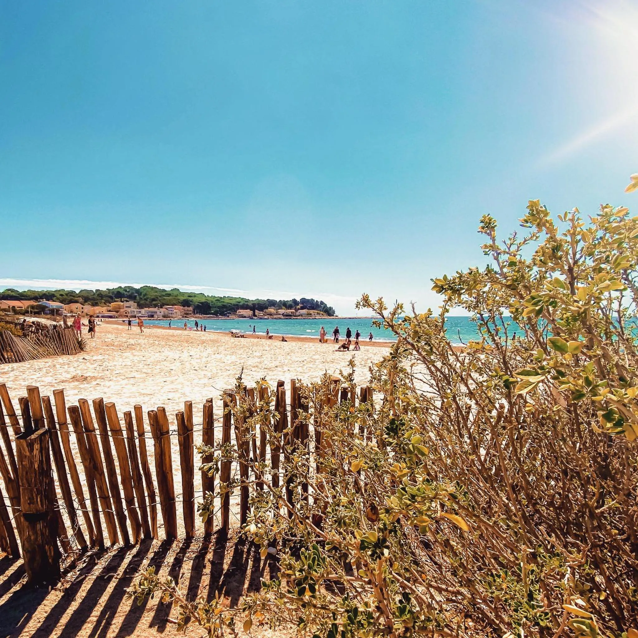 Une plage de sable fin bordée de végétation et d'une barrière en bois.