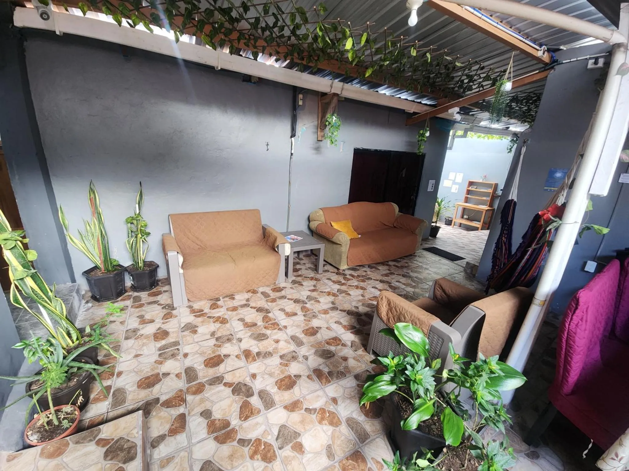 Espace de détente extérieur avec canapés et plantes.