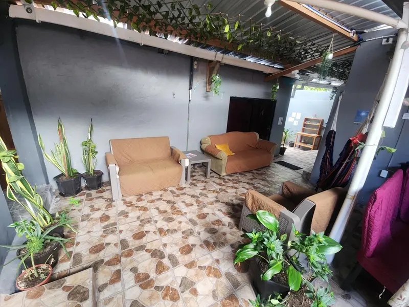 Espace de détente extérieur avec canapés et plantes.
