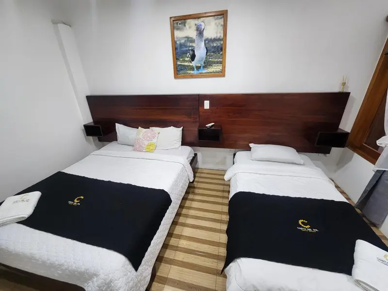 Une chambre avec deux lits simples et une décoration murale.