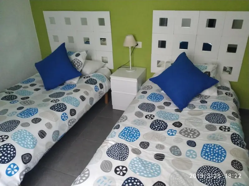 Deux lits simples avec des oreillers bleus dans une chambre décorée de motifs.