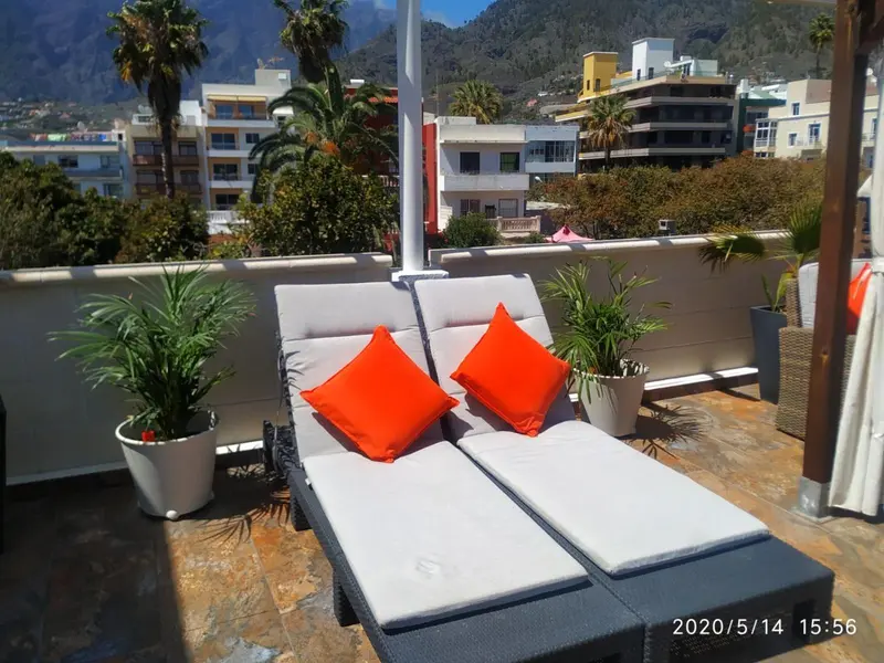 Deux transats oranges et gris sur une terrasse ensoleillée avec des plantes.