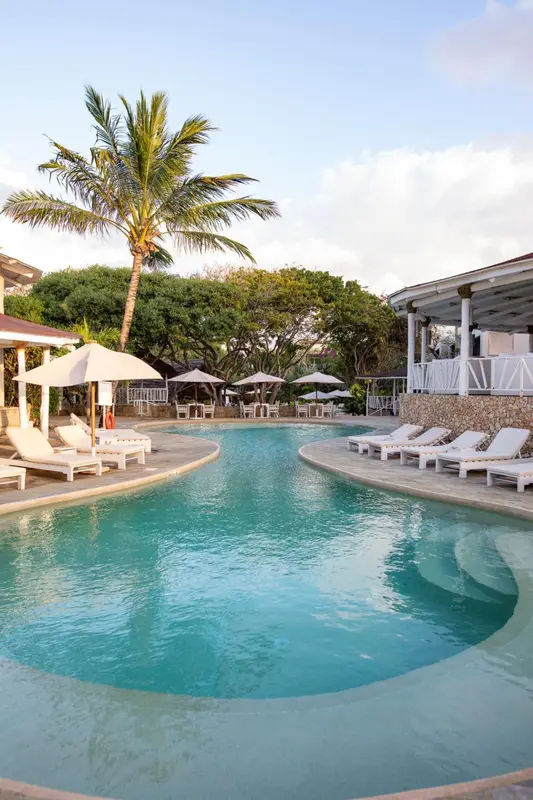 Transats blancs disposés autour d'une piscine sinueuse dans un jardin tropical.