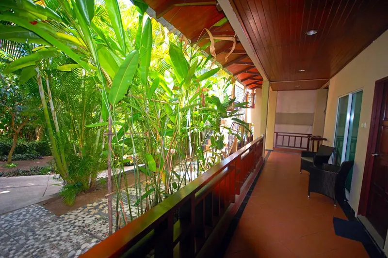 Terrasse ombragée avec végétation luxuriante et mobilier d'extérieur.