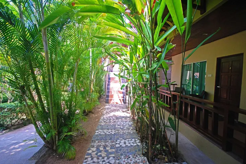 Allée pavée bordée de végétation tropicale menant à une entrée.