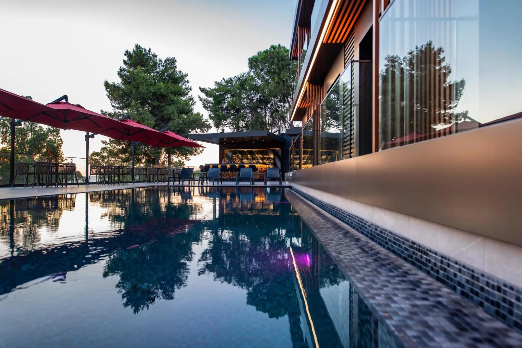 Une piscine bleue reflète un bâtiment moderne avec de larges baies vitrées et un bar extérieur.